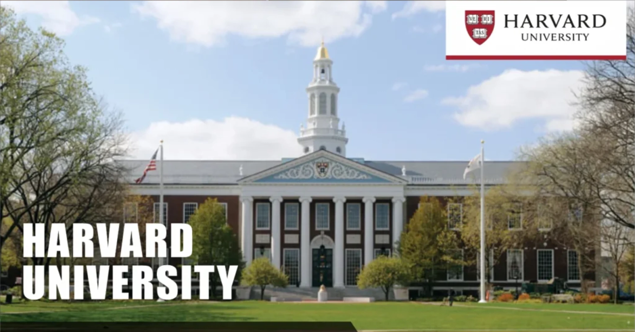 Harvard University
