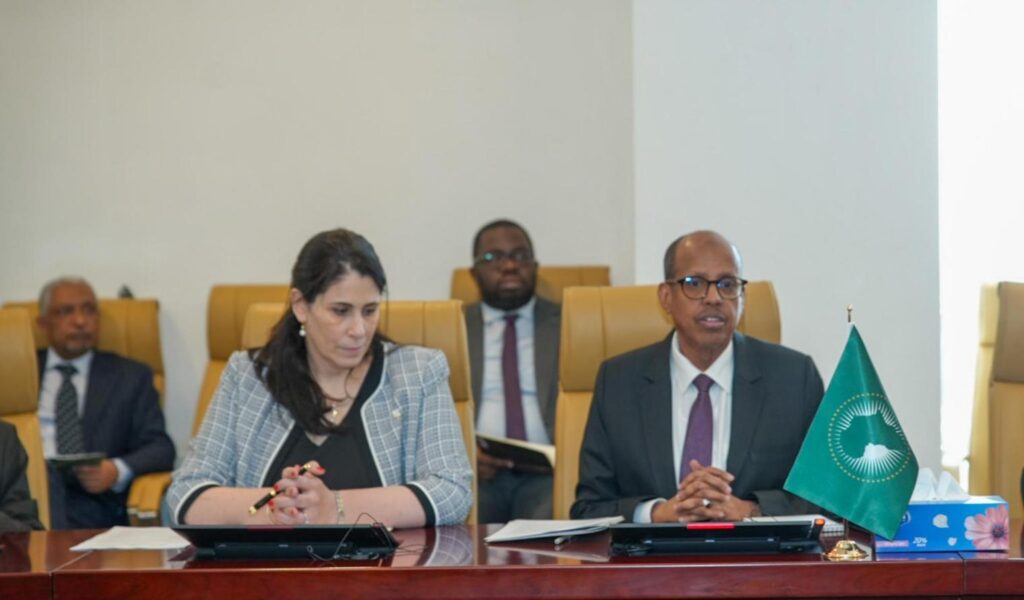African Union advances its investment risk programme