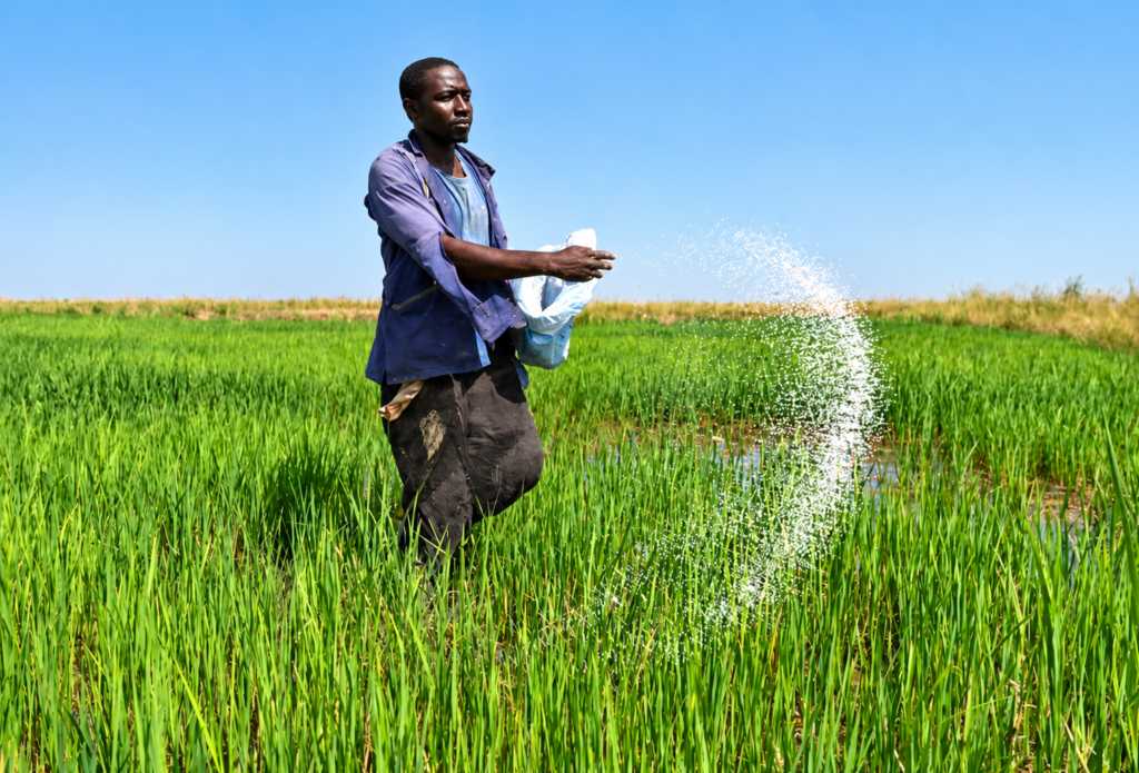 Africa News Review: Ebola Probe, Sudan Strikes and Economic Pressures 4 africa-news-review
