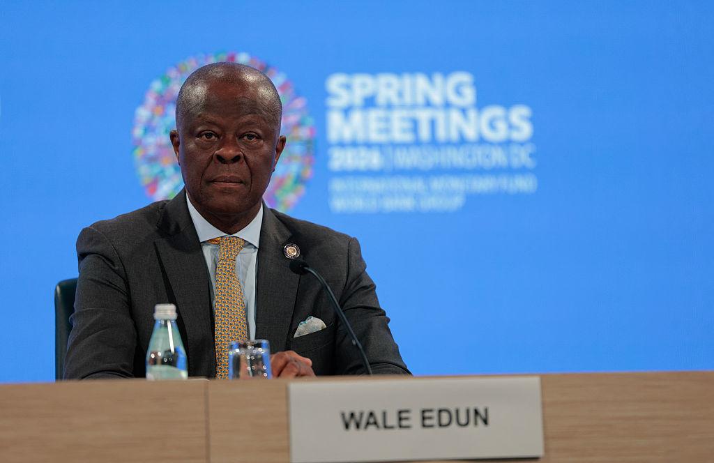 Nigerias economic strategy private capital and petrol subsidy