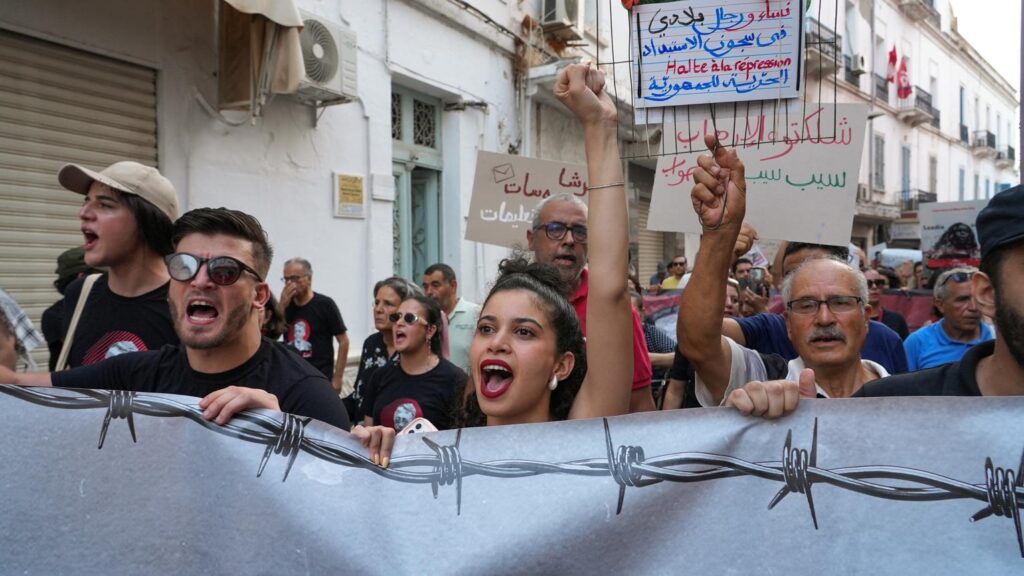 Tunisias protests and political grievances